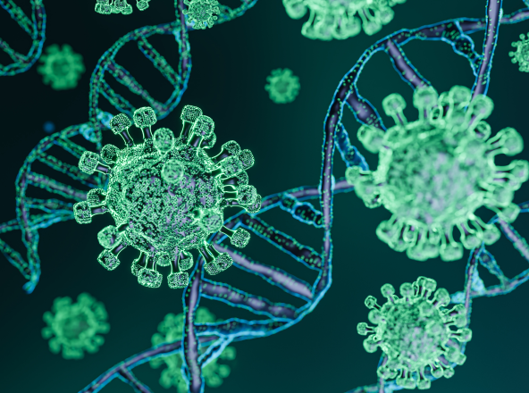 Ротавирус: симптомы, причины, лечение и профилактика